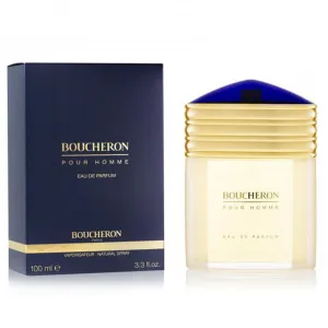 Boucheron Pour Homme by Boucheron 100ml EDP