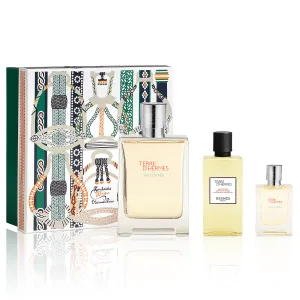 Terre D'Hermes Eau Givree by Hermes 100ml EDP 3pc Set